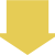 anti-bird-service-arrow-yellow